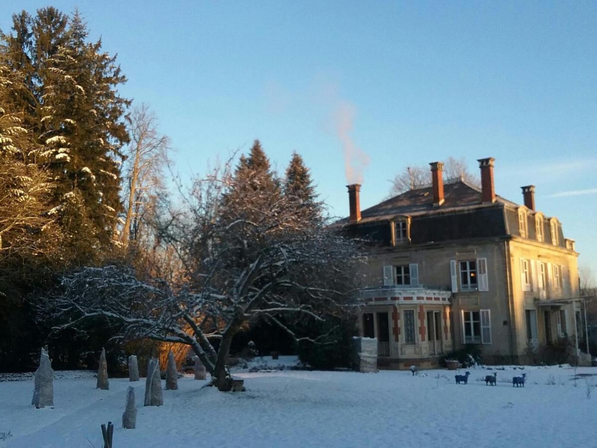 MaisonMazerand Cirey-sur-Vezouze Dış mekan fotoğraf