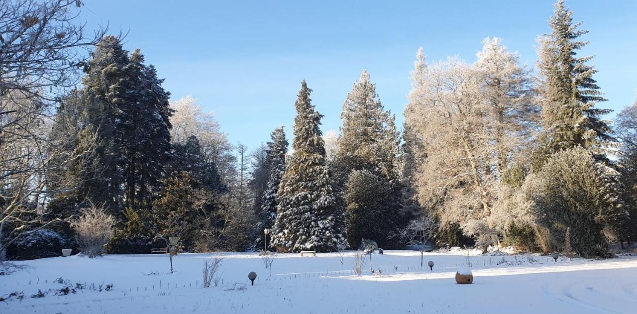 MaisonMazerand Cirey-sur-Vezouze Dış mekan fotoğraf