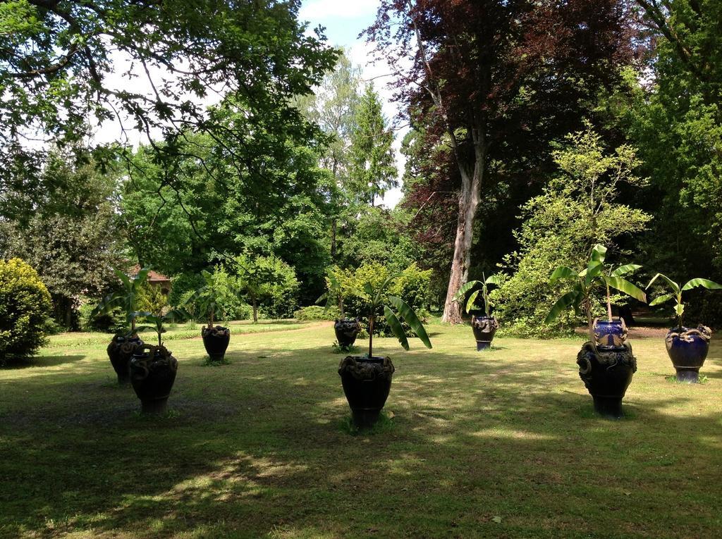 MaisonMazerand Cirey-sur-Vezouze Dış mekan fotoğraf