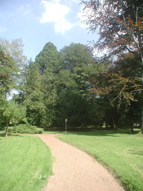 MaisonMazerand Cirey-sur-Vezouze Dış mekan fotoğraf
